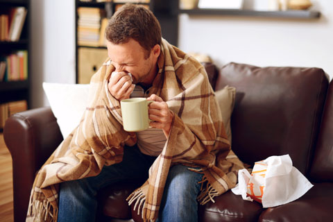 Echinacea for Colds & Flu Clinical studies suggest echinacea can help prevent and treat the common cold and seasonal flu.