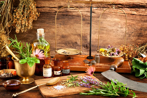 Echinacea Poultice Find out how to make an herbal poultice with echinacea.