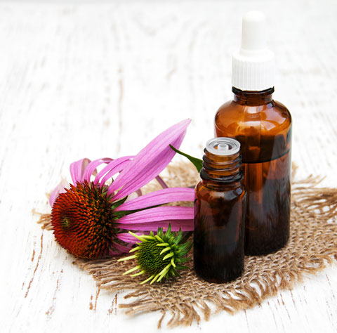 Echinacea Tincture Learn how to make two different versions of echinacea tincture with these easy-to-follow recipes.