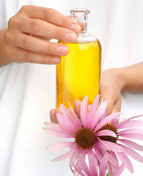 Echinacea Anti-Aging Skin & Wound Care Echinacea may help heal wounds and prevent wrinkles or dry skin.