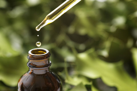 What are the recommended dosages for echinacea?