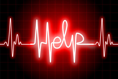 Echinacea Heart Attack Treatment Echinacea promotes healing stem cells in the heart after a heart attack.
