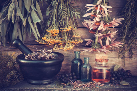 Echinacea Uses Echinacea is used in herbal medicine, herbal tea, tinctures, and cosmetic products.